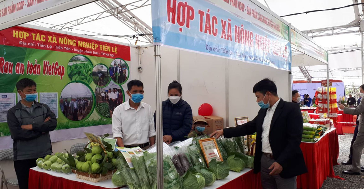 Bến Tre đẩy mạnh phát triển kinh tế tập thể, hợp tác xã