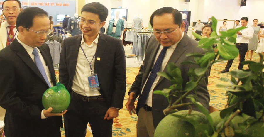 Bến Tre sắp xuất khẩu lô bưởi da xanh đầu tiên sang Hoa Kỳ