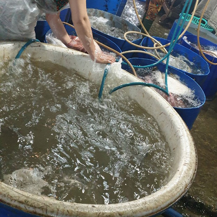 Hoạt-động-đêm-chợ-Đầu-mối